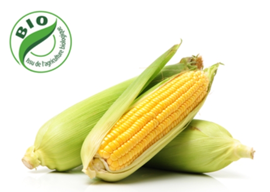 Image de Maïs doux - (Au Kg)