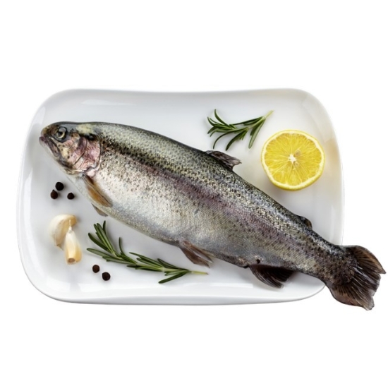 Image de Truite arc en ciel - Entière éviscérée (700 à 1kg)