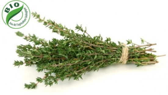 Image de Thym - (à l'unité)