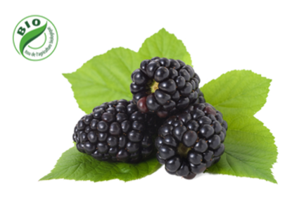 Image de Mûre - (125g)