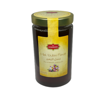 Image de Miel toutes fleurs (900g)