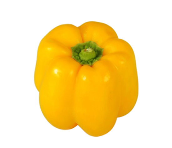 Image de Poivron carré jaune - (Au kg)